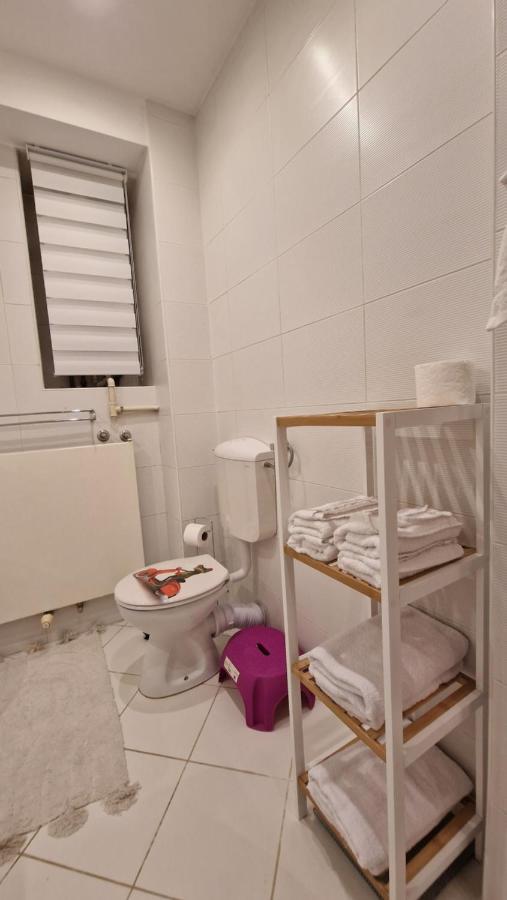 Apartman Roses ザグレブ エクステリア 写真