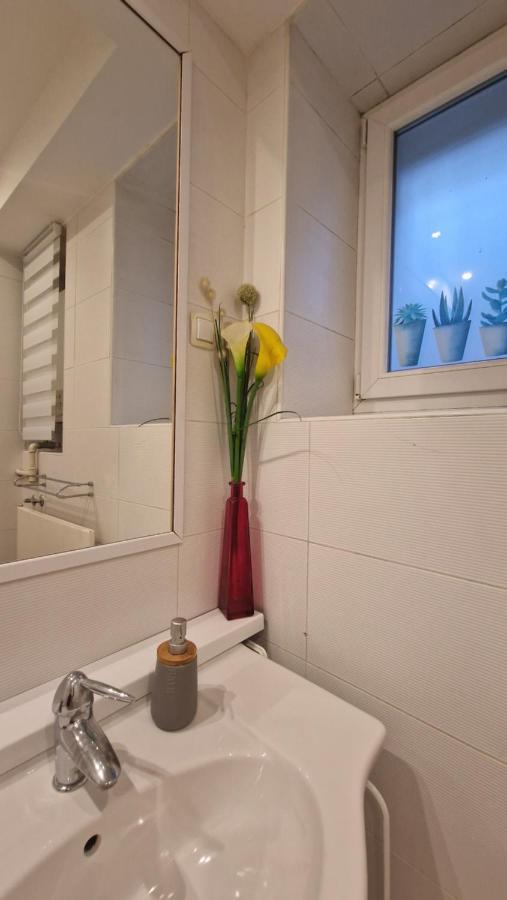 Apartman Roses ザグレブ エクステリア 写真